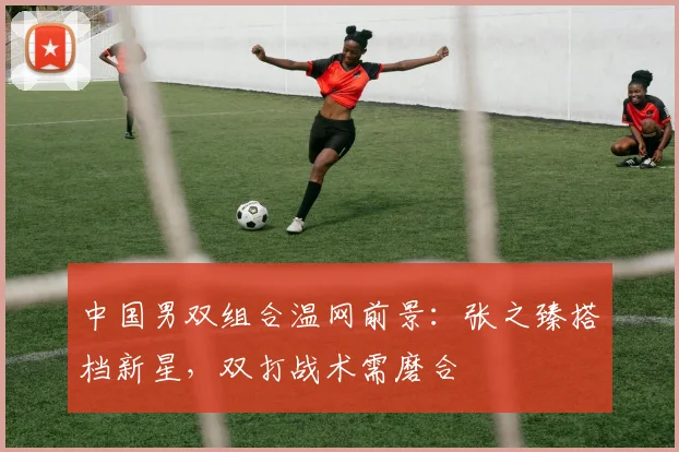 中国男双组合温网前景：张之臻搭档新星，双打战术需磨合