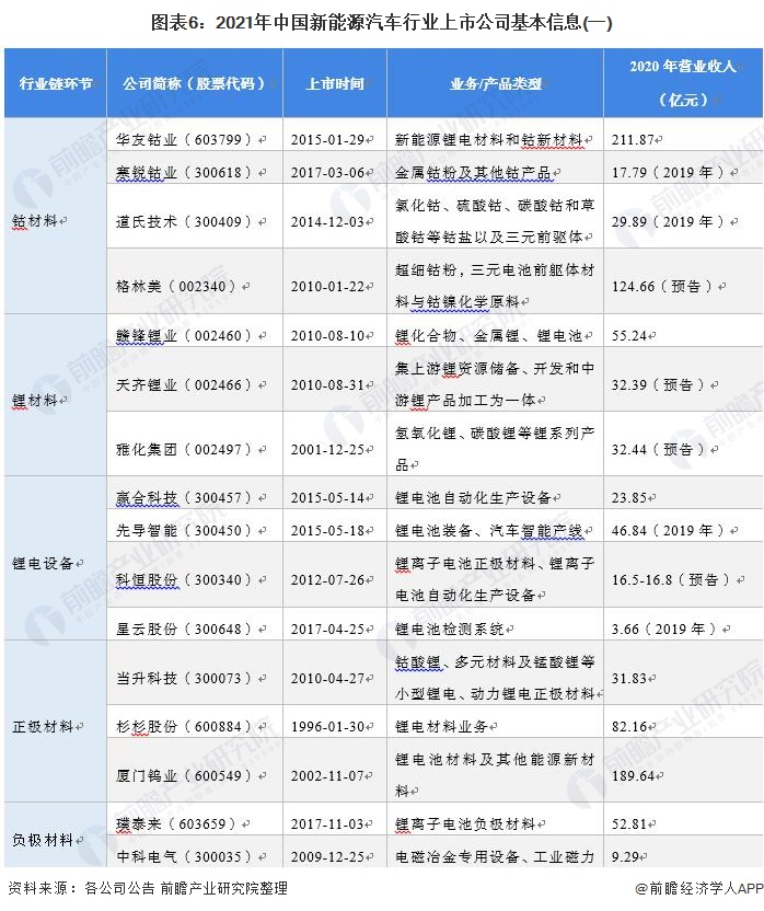 图表6：2021年中国新能源汽车行业上市公司基本信息(一)