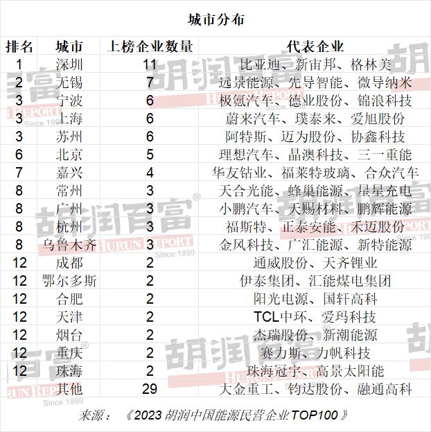 新能源民营企业排名_民营能源排名新企业排第几_民营能源排名新企业名单